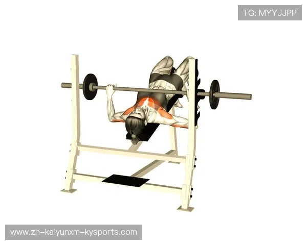 练胸肌的健身器材 必备设备和练习技巧